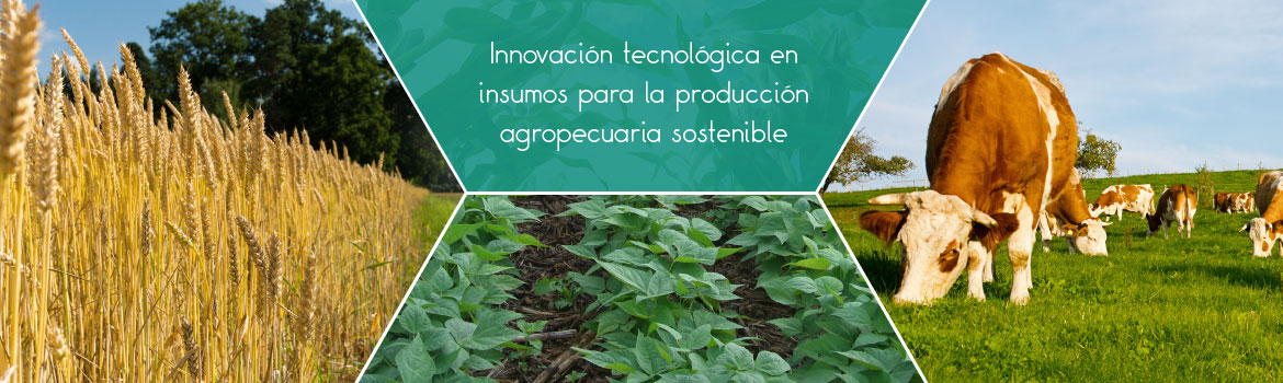 Innovación tecnológica en insumos para la producción agropecuaria sostenible