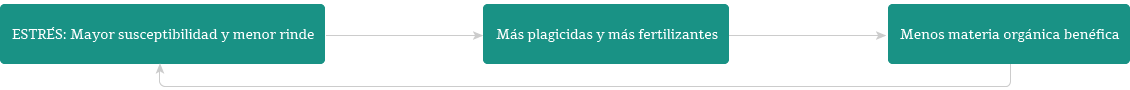 estres en cultivo