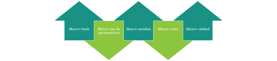 suelo con microorganismos